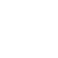 SECURE ONLINE SHOPPING