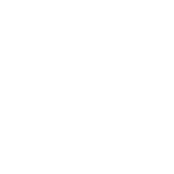 VERIFIED AND SECURED