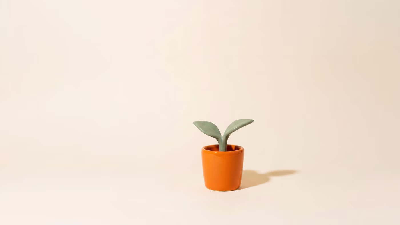The 7 Best Shopify Apps to Increase CLTV [2026]