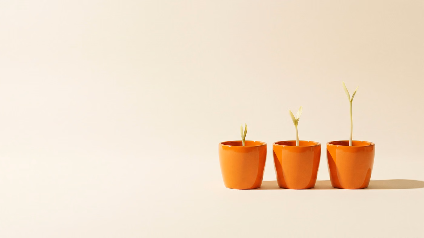 7 Best SEOWILL Trust Badges Alternatives for Shopify in 2026