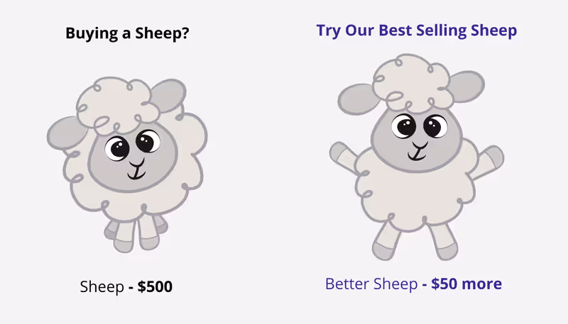 Vitals Shopify Upsell