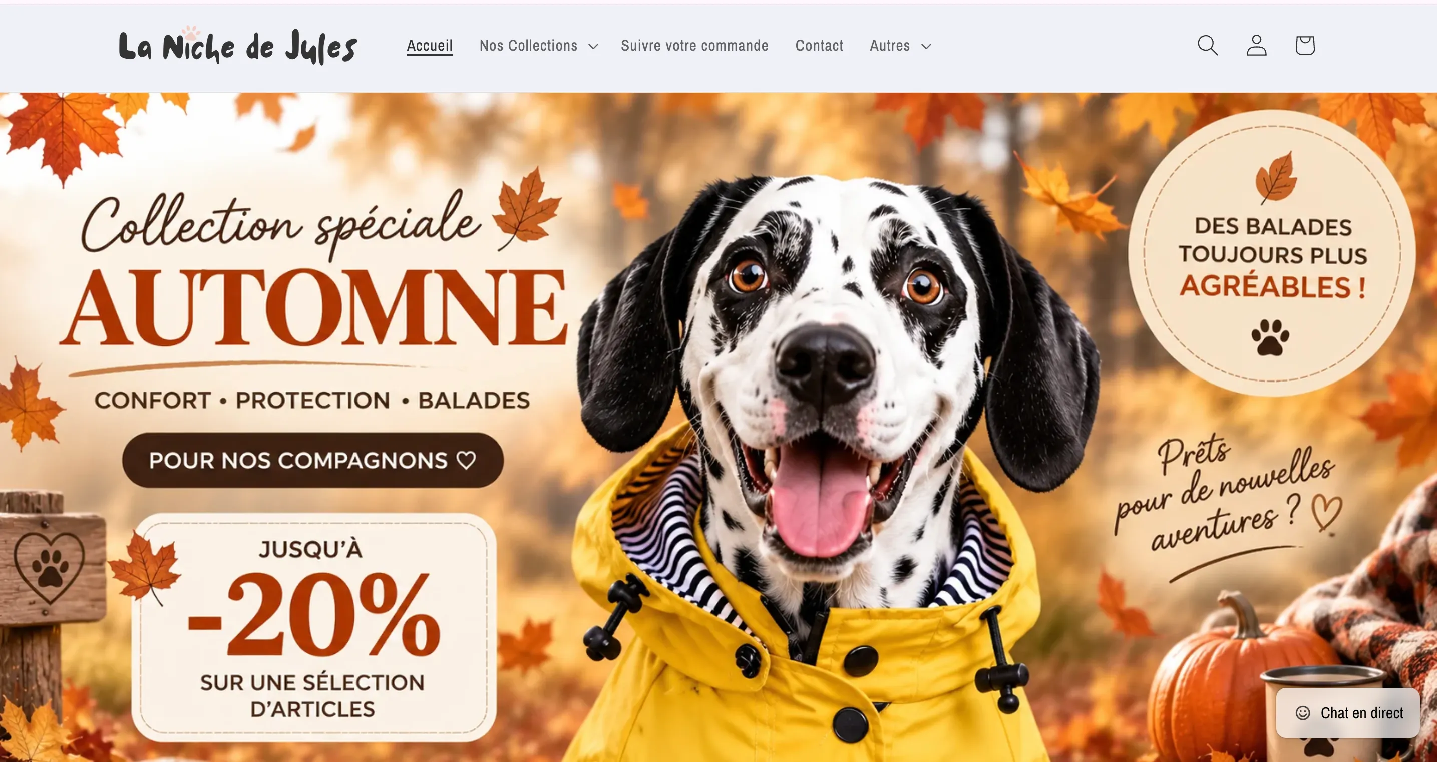 The lanichedejules.com homepage