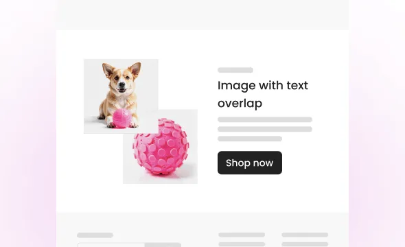 Image & Text - Overlap section preview