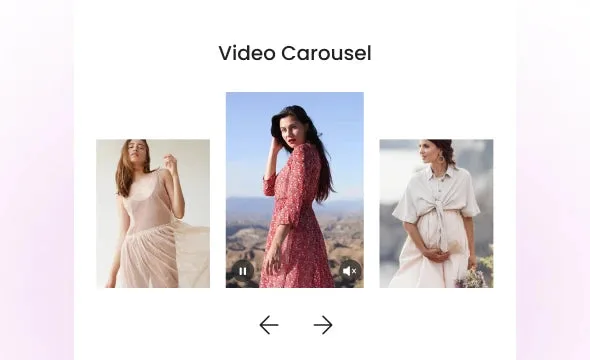 Video Carousel section preview